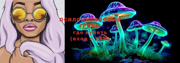 спиды Алексеевка