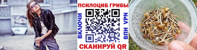 Галлюциногенные грибы прущие грибы  Шимановск 